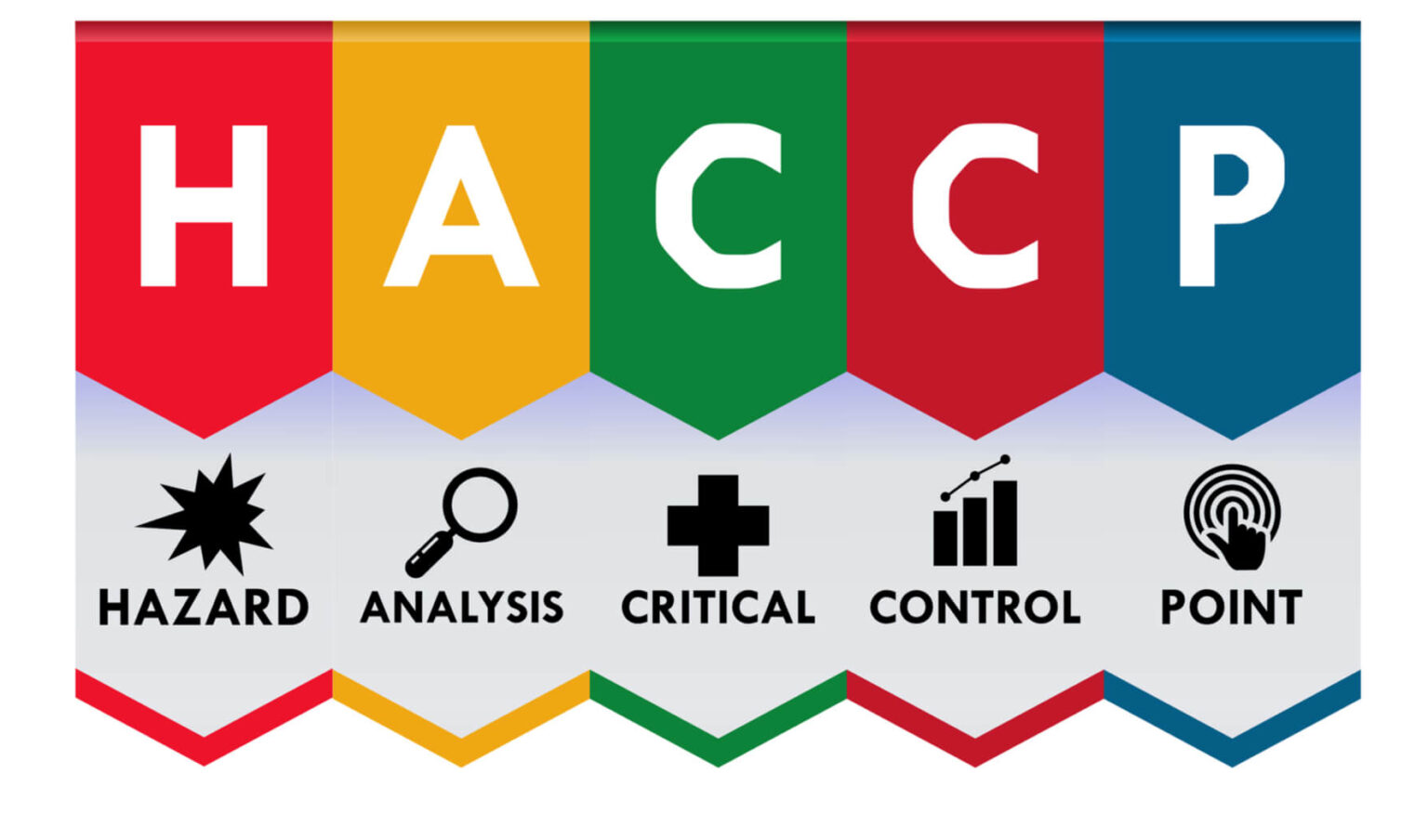 Consulenza e Servizi HACCP